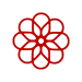Icon 6