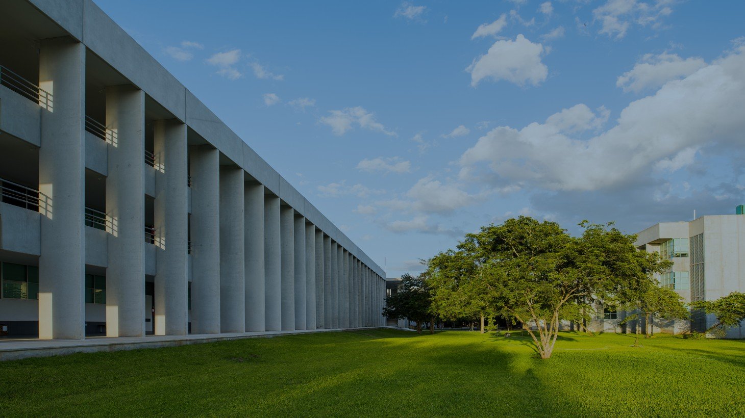 Background image of a university